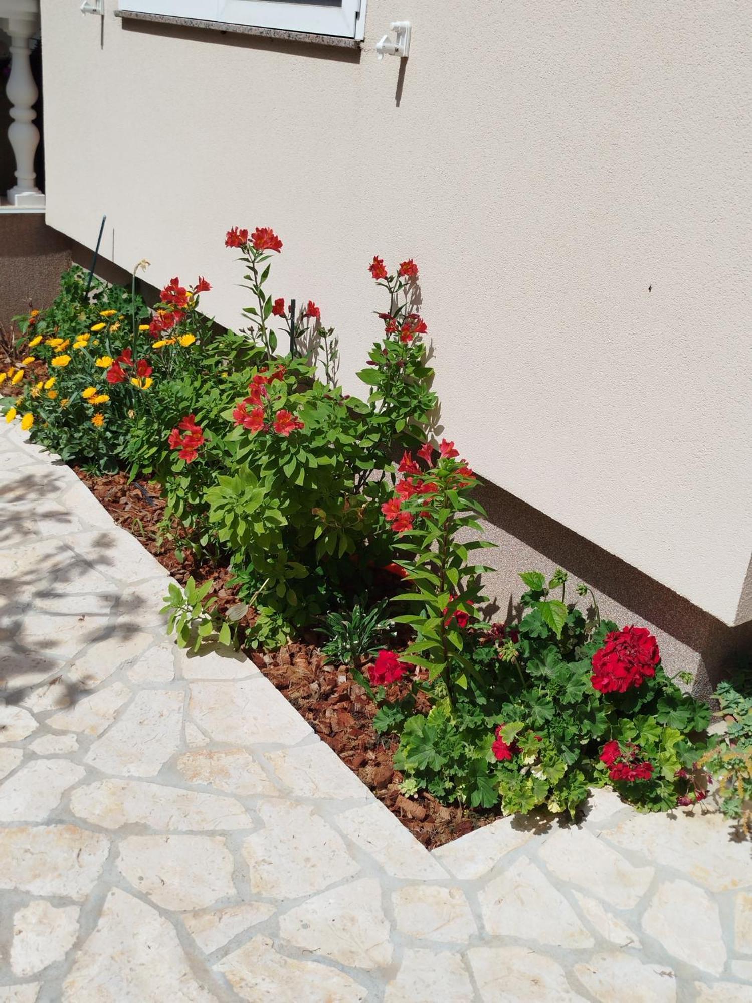 Apartments Juric Privlaka  Exterior photo